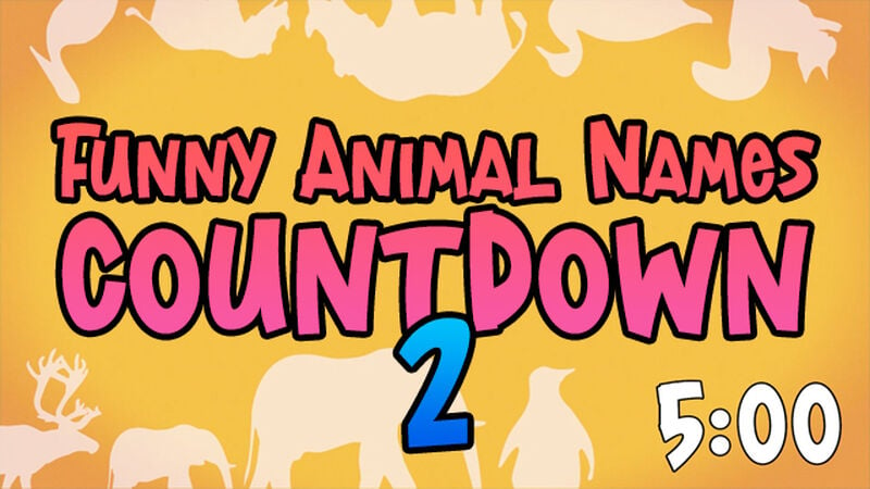 Funny Animal Names Countdown 2